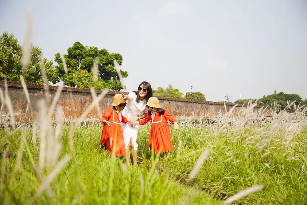 Lạ lẫm hoa cỏ tranh bung nở bên Tử Cấm Thành - Đại nội Huế ảnh 1