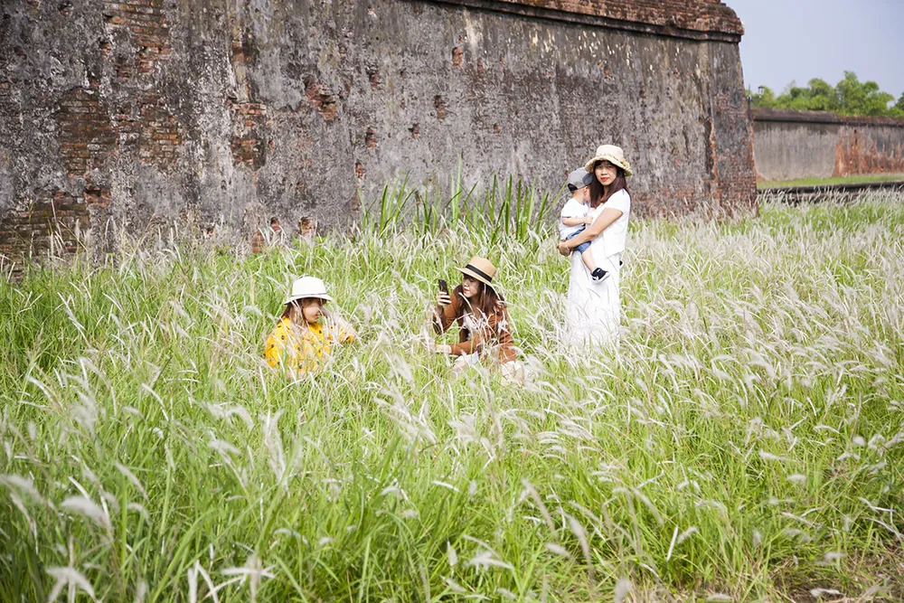 Lạ lẫm hoa cỏ tranh bung nở bên Tử Cấm Thành - Đại nội Huế ảnh 4