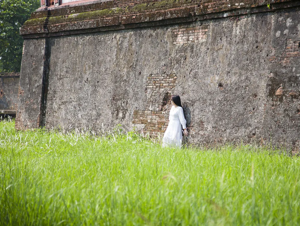 Lạ lẫm hoa cỏ tranh bung nở bên Tử Cấm Thành - Đại nội Huế ảnh 6