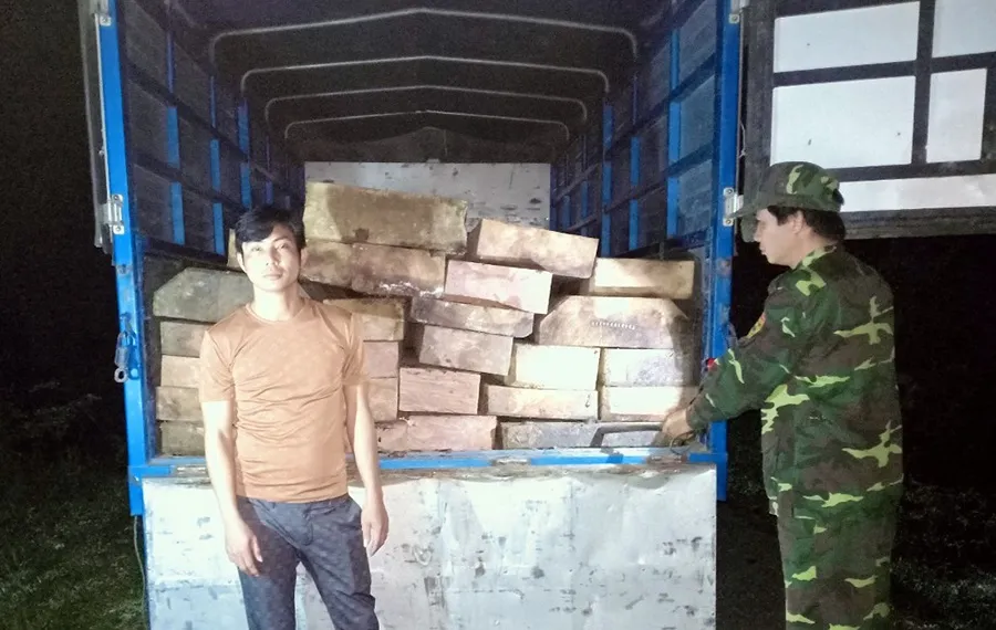 Phát hiện xe tải chở gỗ trái phép trong đêm ở gần cửa khẩu Hồng Vân ảnh 1