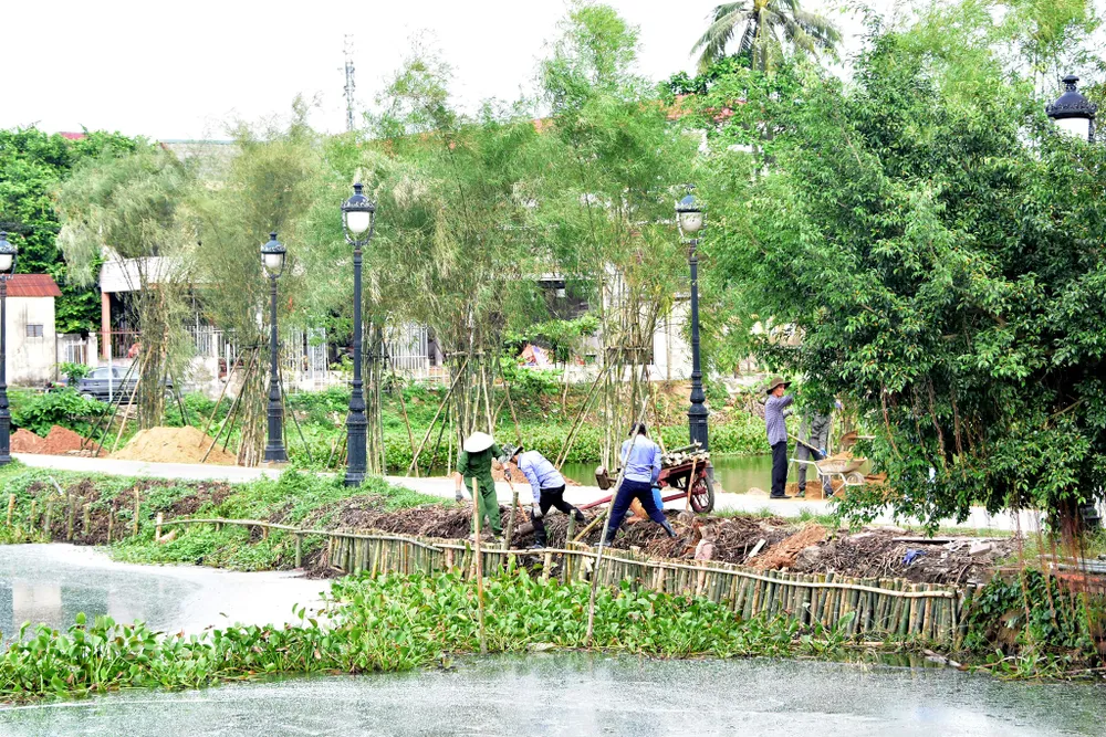 Trồng tre chống sạt lở danh thắng nổi tiếng Kinh thành Huế  ảnh 3