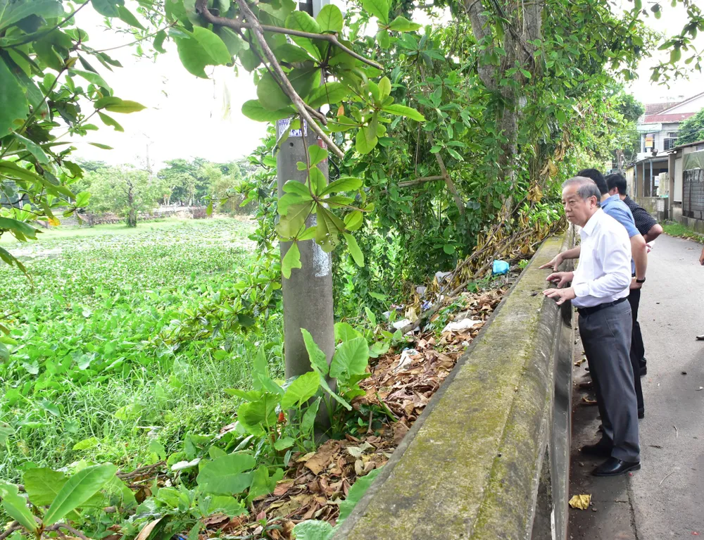 Trồng tre chống sạt lở danh thắng nổi tiếng Kinh thành Huế  ảnh 4