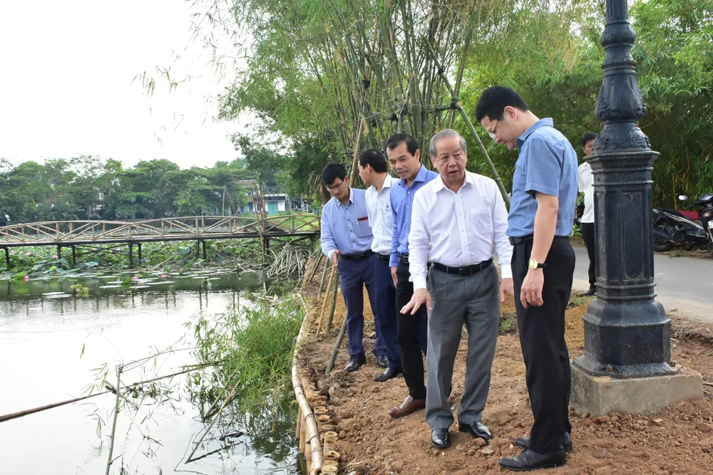 Trồng tre chống sạt lở danh thắng nổi tiếng Kinh thành Huế  ảnh 1