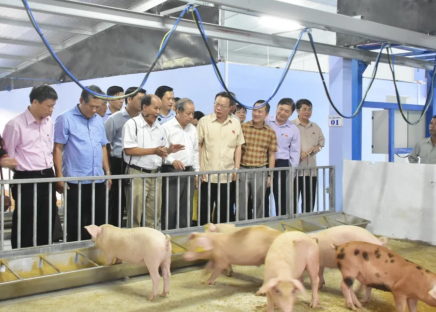 Cần tôn tạo những công trình kiến trúc phát lộ trên Kinh thành Huế ảnh 4