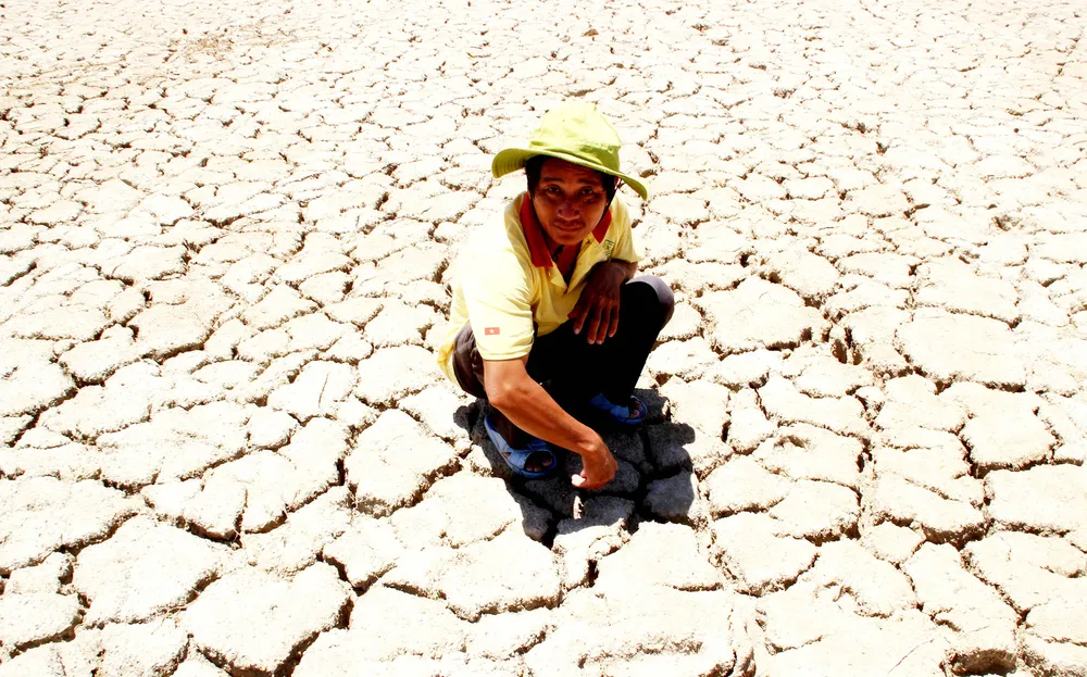 Nam Trung bộ hạn hán, nông dân điêu đứng ảnh 1