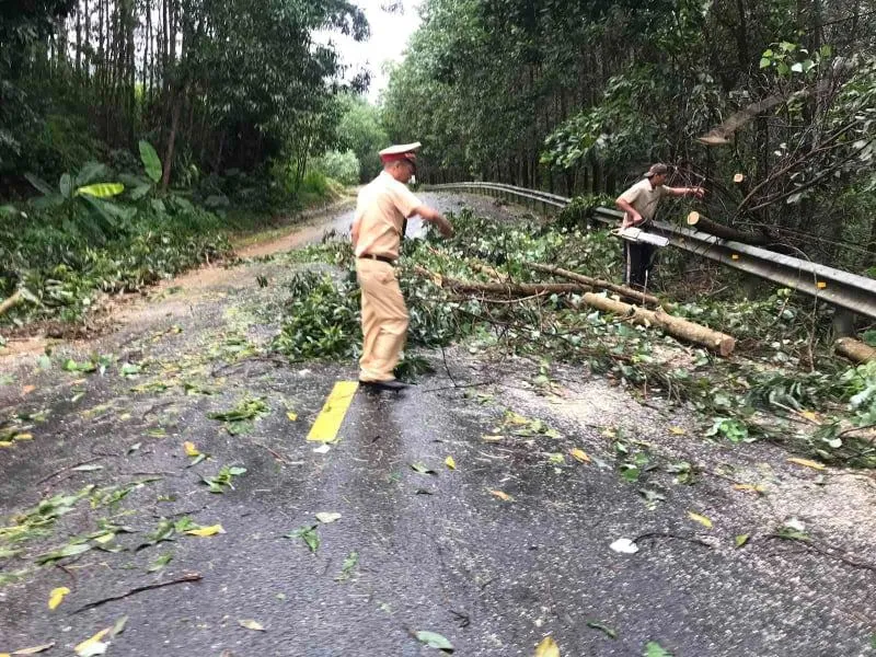 Gần 4.000 bộ đội và dân quân tự vệ giúp dân khắc phục bão số 5 ảnh 4