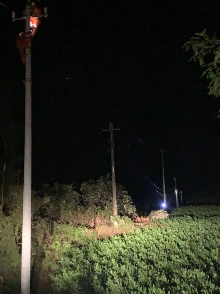 Gần 4.000 bộ đội và dân quân tự vệ giúp dân khắc phục bão số 5 ảnh 5