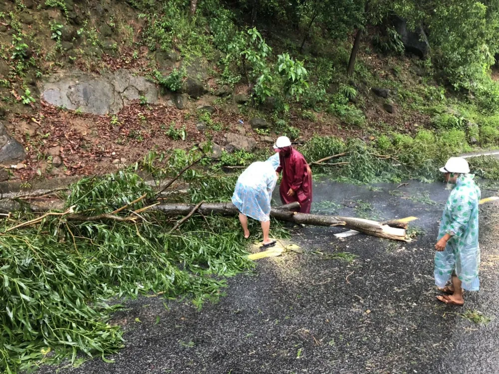 Quảng Nam lo sạt lở, Quảng Trị di dời khẩn hàng ngàn dân ảnh 14