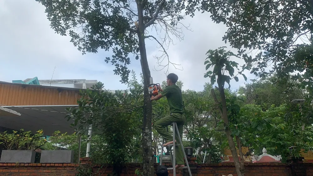 Căng mình ứng phó bão số 9 ảnh 48