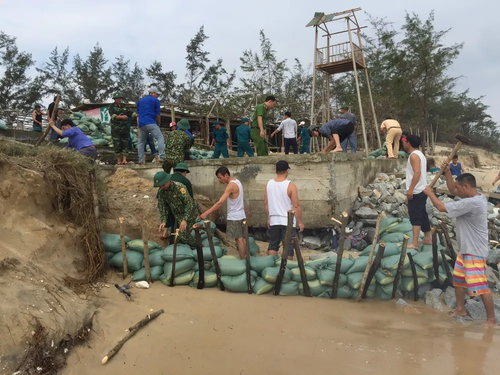 Khẩn cấp gia cố bờ biển bị xâm thực 40m ảnh 3