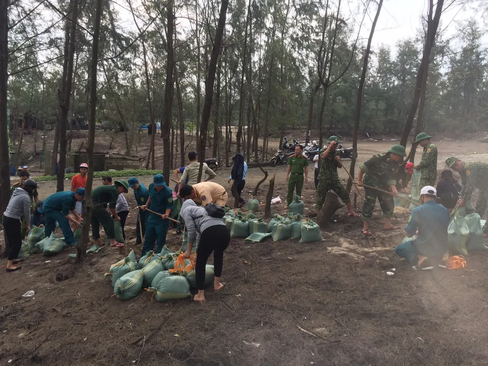 Khẩn cấp gia cố bờ biển bị xâm thực 40m ảnh 1