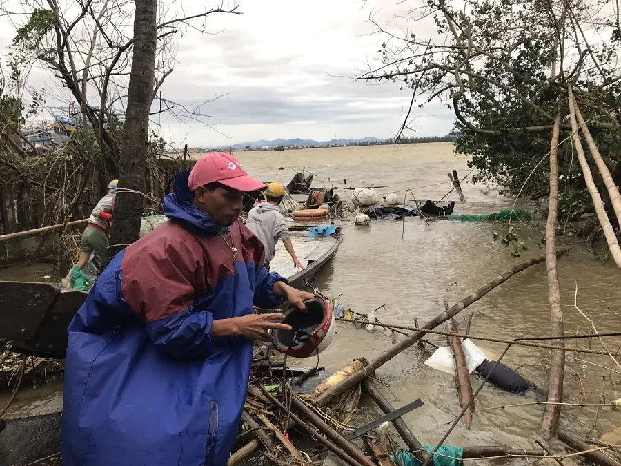 Quảng Bình mưa trắng trời, Huế cây cối ngã đổ ảnh 2