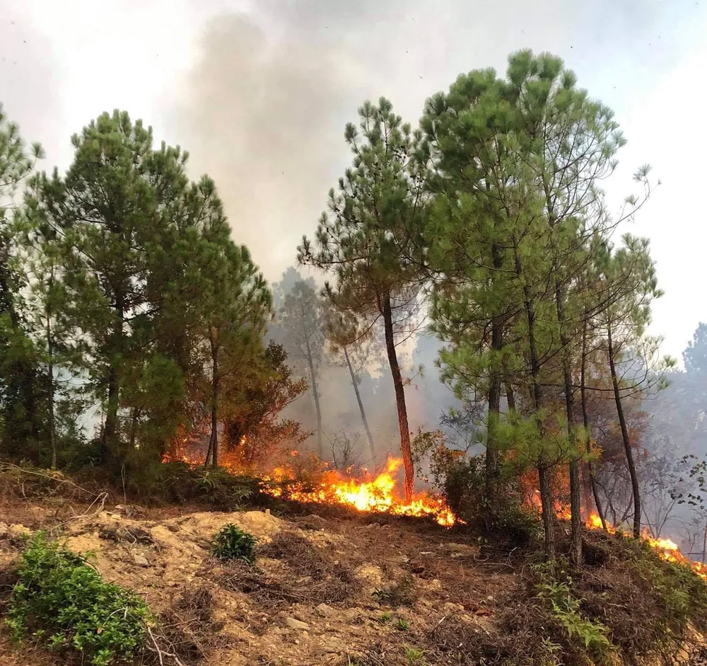  Cháy lớn xuyên đêm trên đỉnh núi Phú Sơn  ảnh 2