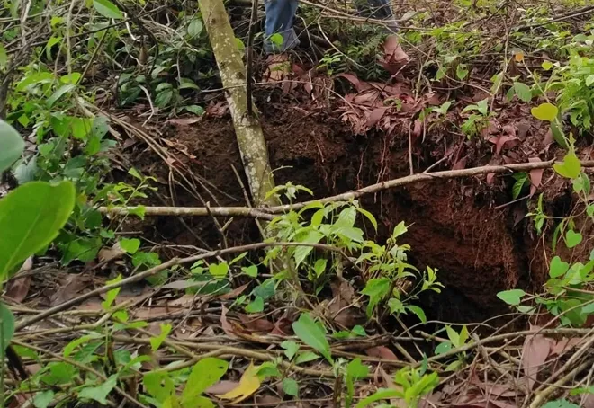 Các nhà khoa học xác định nguyên nhân 107 hố sụt lún bất thường tại Thừa Thiên – Huế ảnh 3