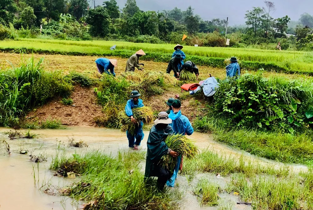 Thừa Thiên - Huế: Bão số 5 cách đất liền hàng trăm cây số, nhiều nhà dân đã tốc mái ảnh 2