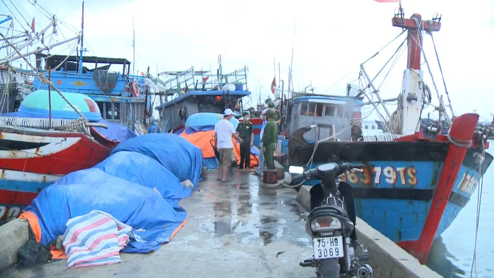 Các tỉnh miền Trung khẩn trương ứng phó bão số 5 đổ bộ  ảnh 11