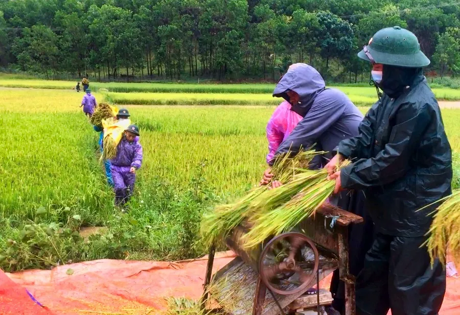 Dùng dây dù vượt lũ sông A Sáp cứu hộ 5 người dân bị cô lập ảnh 4