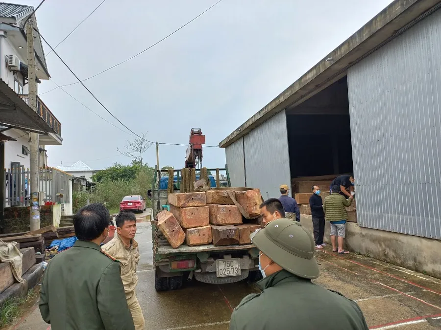 Phát hiện xe tải chở số lượng lớn gỗ không rõ nguồn gốc ảnh 2