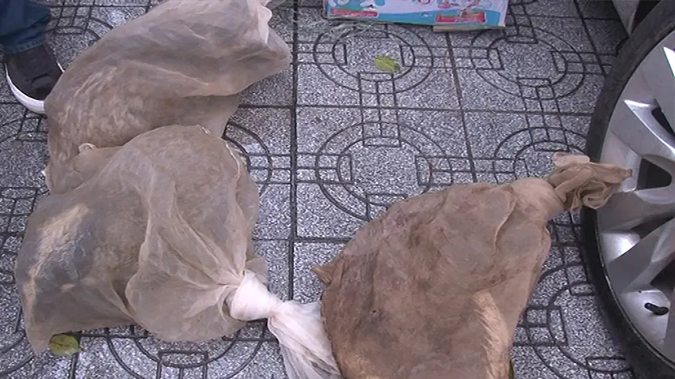 Phát hiện ô tô chở cầy hương và số lượng lớn rượu ngoại trái phép từ biên giới về TP Huế ảnh 3