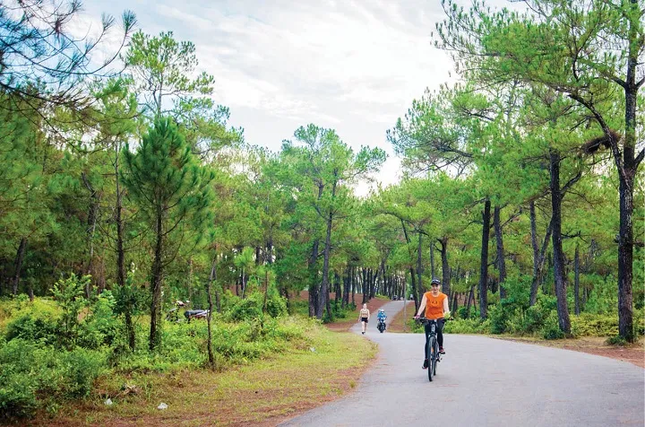 Tạo điểm nhấn sang trọng cho đô thị Huế ảnh 3