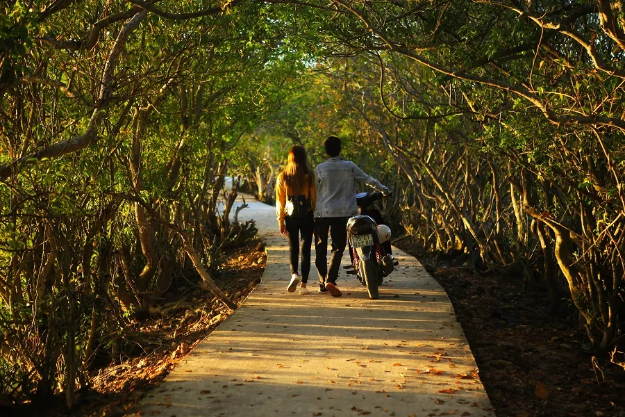 Phát huy lợi thế, thúc đẩy phát triển toàn diện thành phố Huế mở rộng ảnh 3