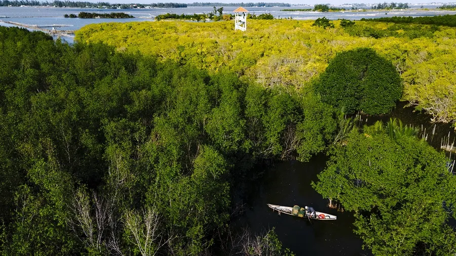 Phát huy lợi thế, thúc đẩy phát triển toàn diện thành phố Huế mở rộng ảnh 4