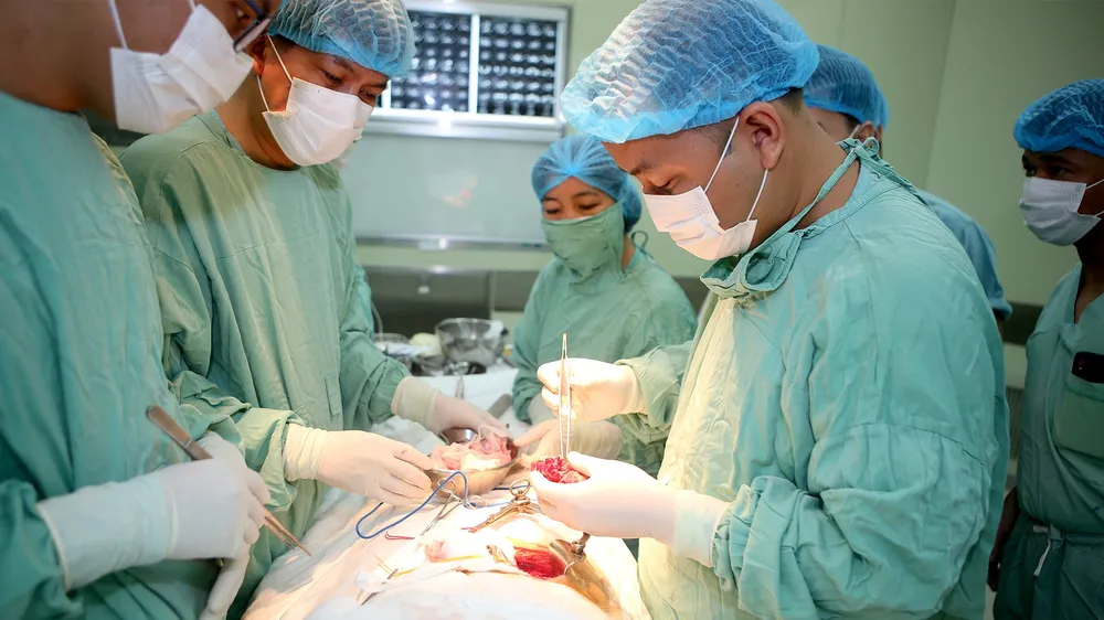 Ghép thận tự thân thành công cho bệnh nhân bị biến chứng khi nội soi tán sỏi từ tuyến dưới ảnh 2