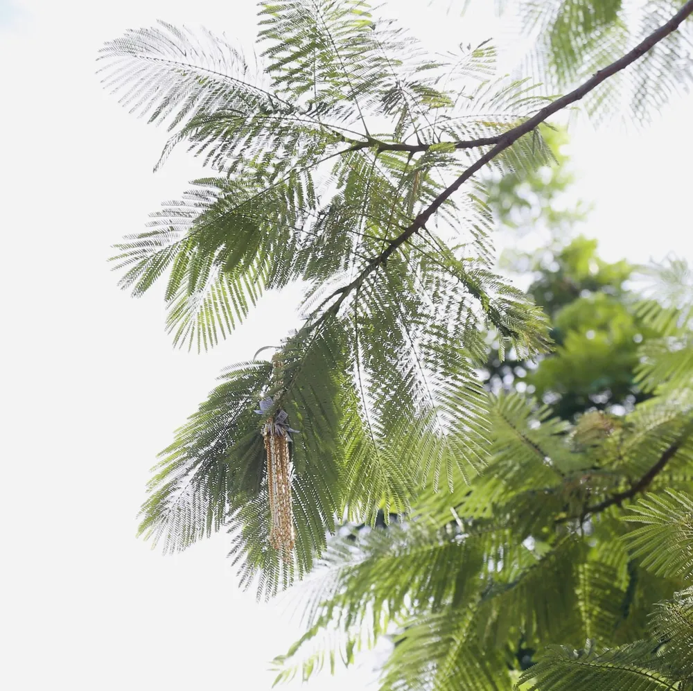 Vụ nổ súng cướp tiệm vàng ở Huế: Công an yêu cầu người dân giao nộp số vàng đã nhặt được ảnh 1