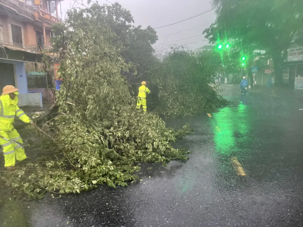 Miền Trung ngổn ngang sau bão số 4 ảnh 12