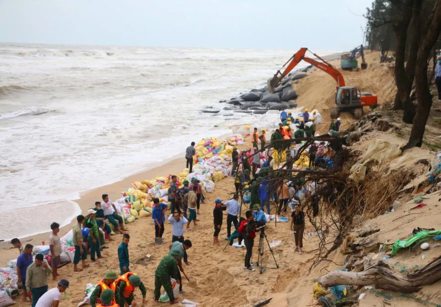 Hàng trăm người ứng cứu rừng dương bị sóng đánh bật gốc ảnh 2