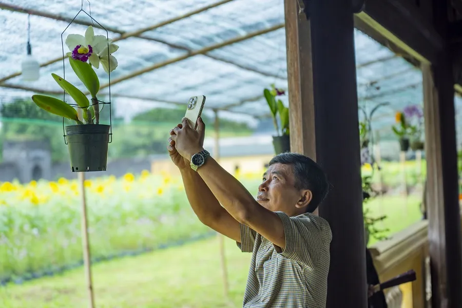 Hơn 1.000 tác phẩm tham gia triển lãm cây kiểng và phong lan tại Huế ảnh 10