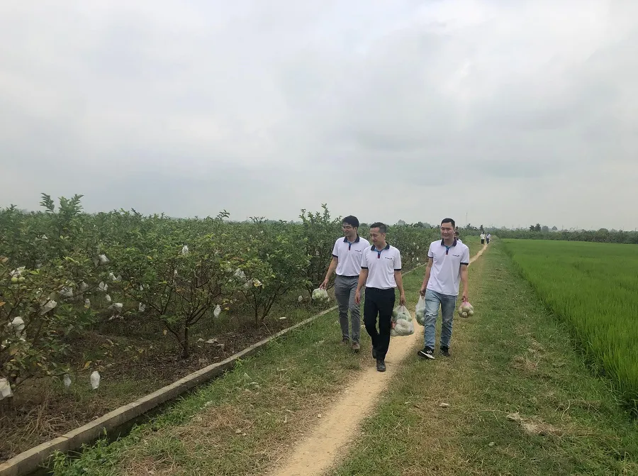 Cây trồng xóa đói giảm nghèo trên vùng đất Hương Xuân