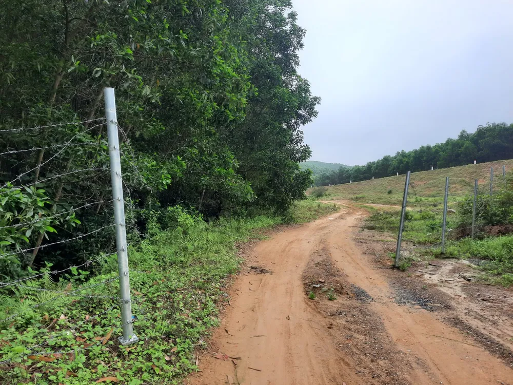 z5277035590081_cd9b4fd6169a1a0aeab2bca7f02620b2 (1).jpg