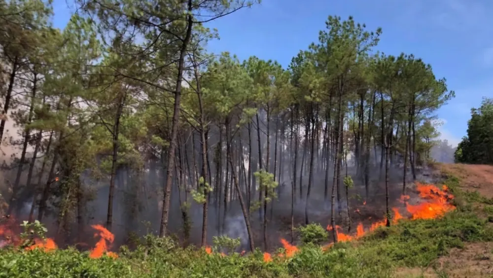 Screenshot_20250423_115016_Samsung Internet.jpg