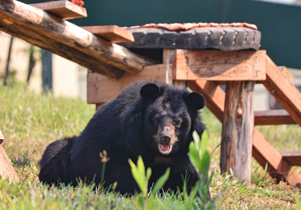 B002 Buzz 08.07.24 (23).jpg