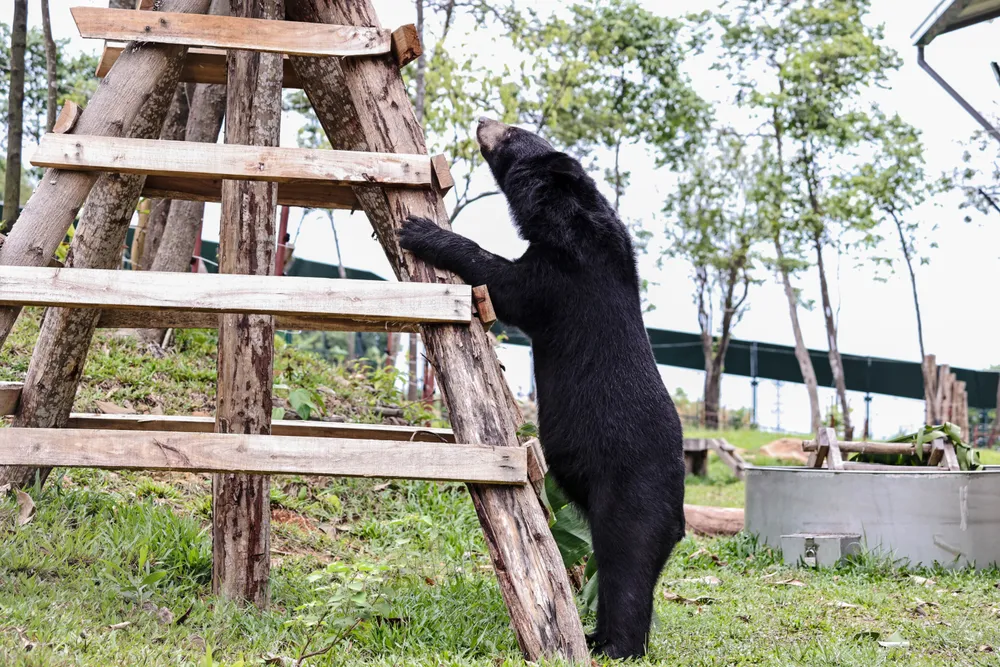 B009 Primrose 28.05.24 (38).jpg