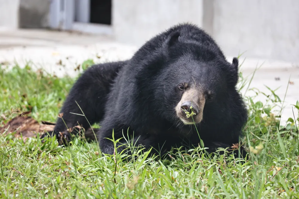 B009 Primrose 28.05.24 (6).jpg