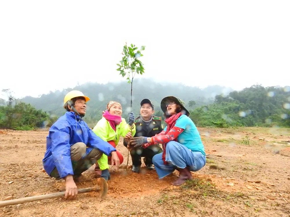 Hợp tác trồng rừng cùng Gaia_PDVong.JPG