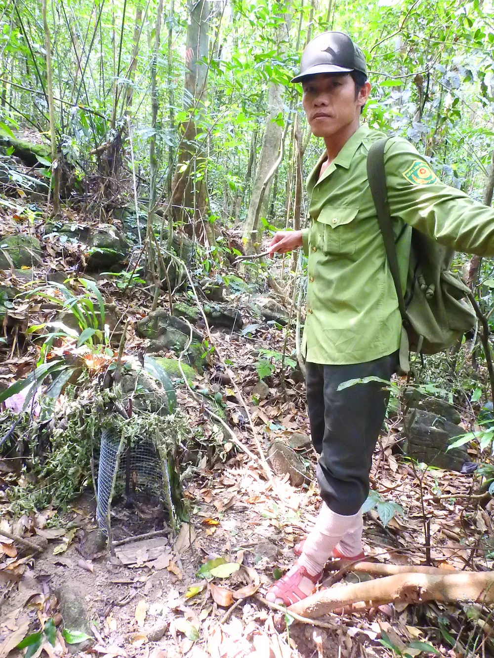 Tháo gỡ bẫy_PDVong.JPG