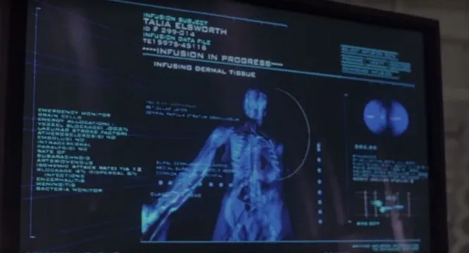 Giá ca cao biến động ở mức 4.500-5.000 đồng/kg ảnh 9