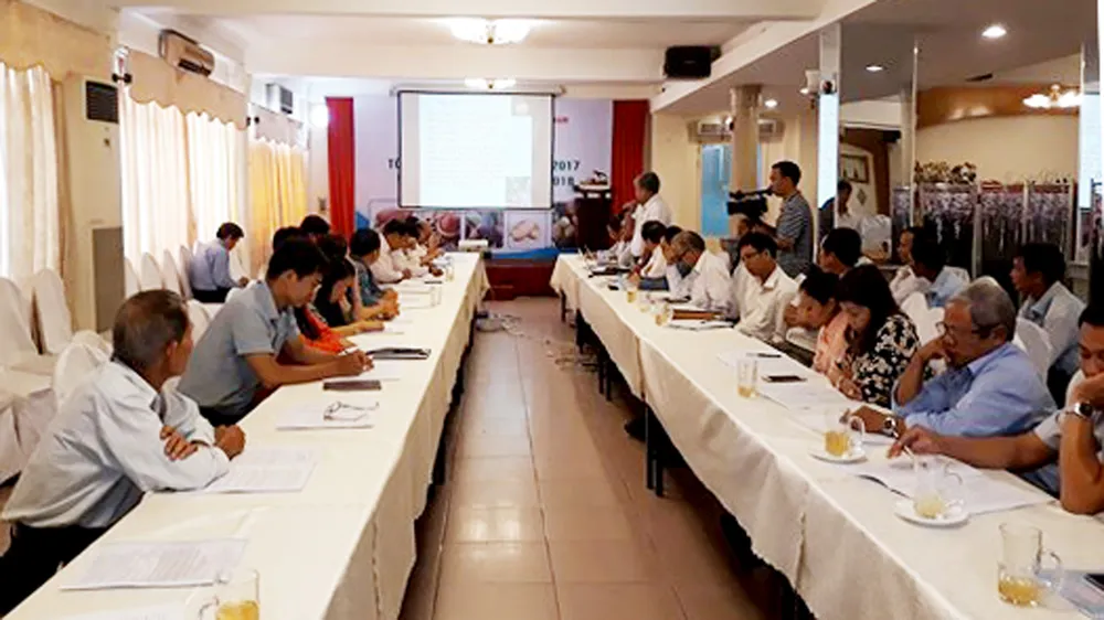 Giá ca cao biến động ở mức 4.500-5.000 đồng/kg ảnh 1