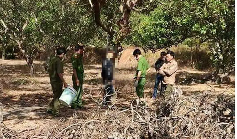 Hiện trường vườn điều nơi anh T. treo cổ 