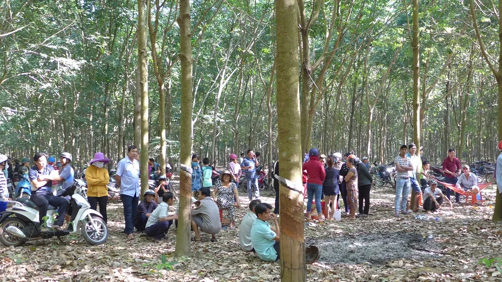  Bình Phước: Bắt giam kẻ hiếp bé gái 4 tuổi, ném xuống giếng   ảnh 1