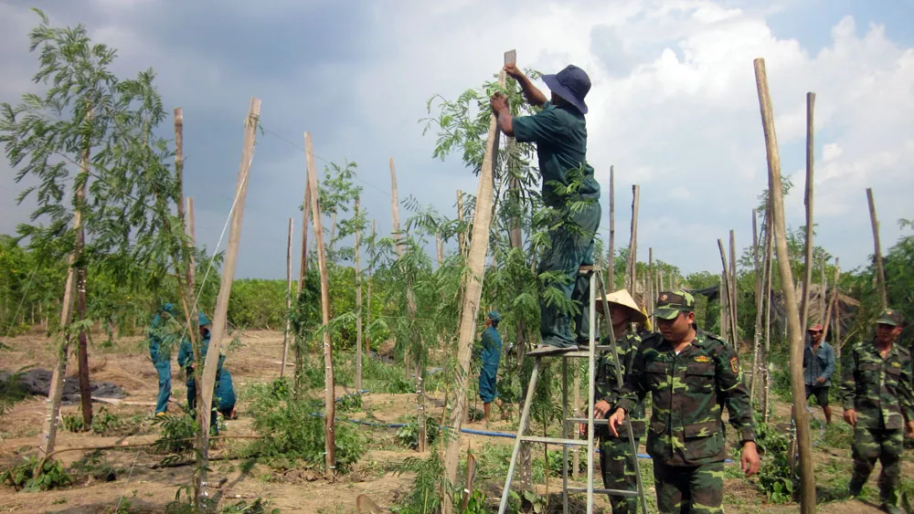 Bộ đội Biên phòng giúp dân dựng lại nhà và trụ tiêu sau cơn lốc xoáy ảnh 1