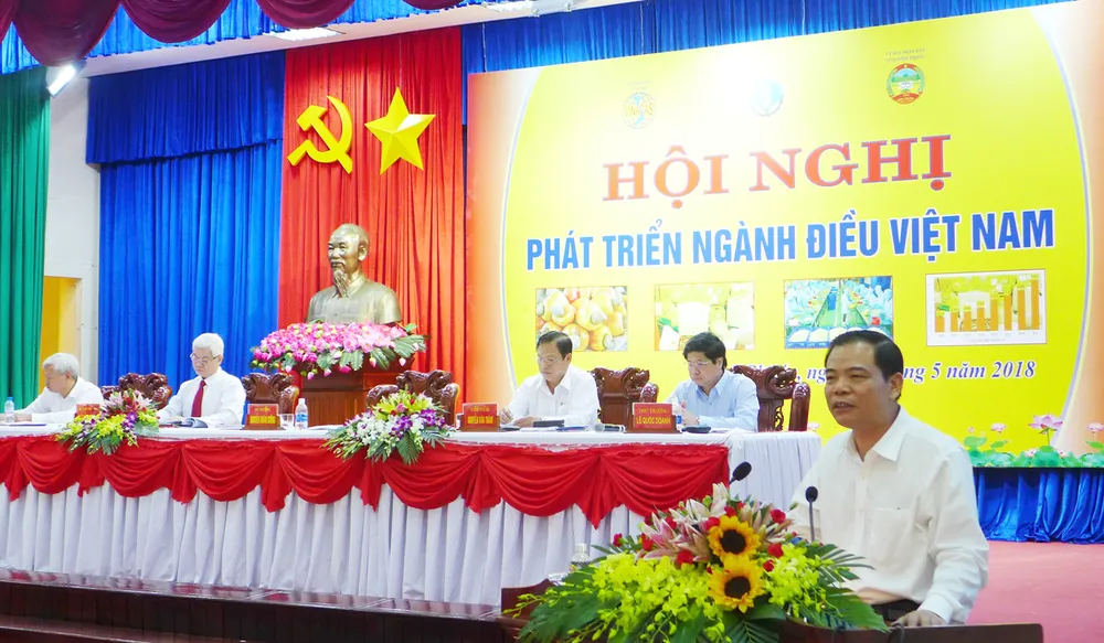 Diện tích điều giảm 8 năm liên tiếp  ​ ảnh 1