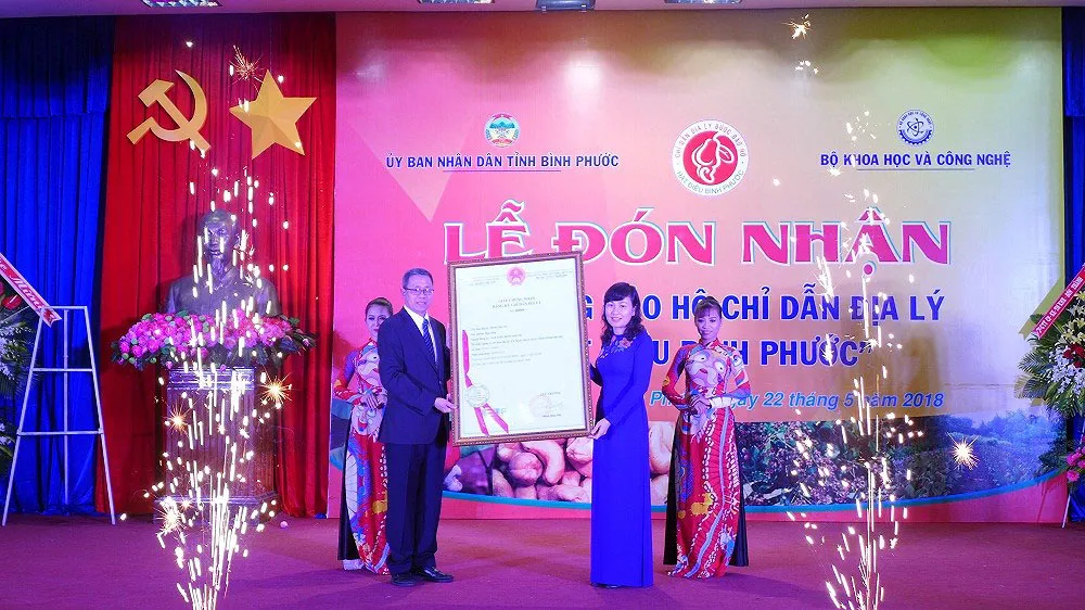 Phát triển ngành điều gắn với chỉ dẫn địa lý hạt điều Bình Phước ảnh 3