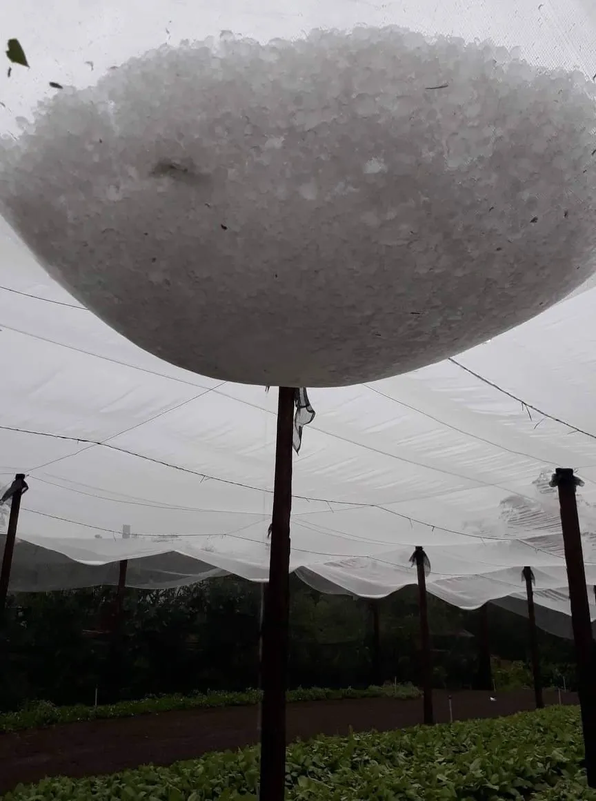 Mưa đá xuất hiện tại huyện biên giới Lộc Ninh ảnh 2