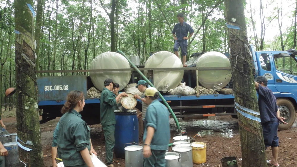 Bình Phước đi lên từ gian khó ảnh 2