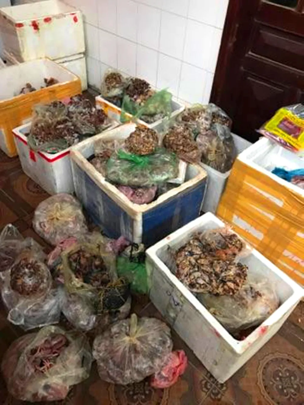 Lại phát hiện cơ sở kinh doanh trữ hơn 200kg thịt chim bốc mùi ảnh 1