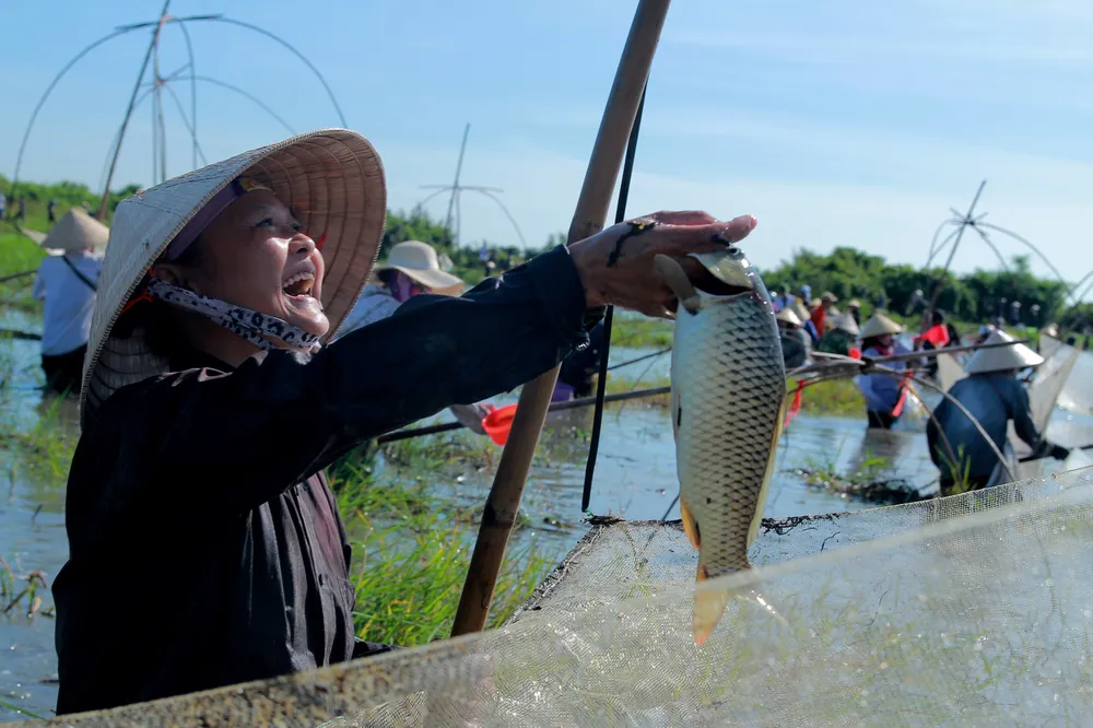 Độc đáo lễ hội đánh cá Đồng Hoa ảnh 1